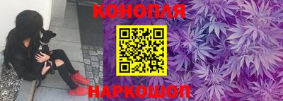 тгк Канаш