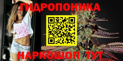 тгк Канаш