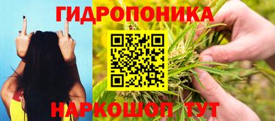 MESCALINE Камышлов
