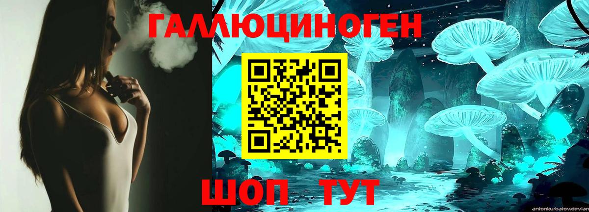 Дзержинский  Псилоцибиновые грибы Cubensis  Вход с VPN 